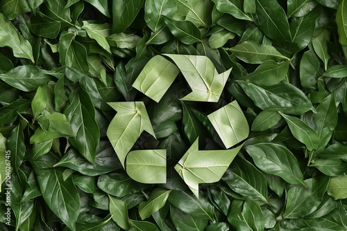 A green leaf with a green arrow on it