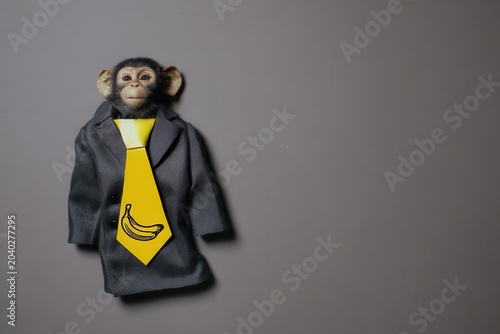 Chimpanzee in Suit and Banana Tie on Gray Background