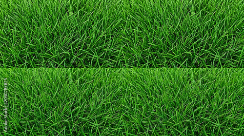 Top View of Vibrant Green Grass Texture Background Lush Garden Lawn Close Up for Landscaping Environmental and Nature Design Concepts