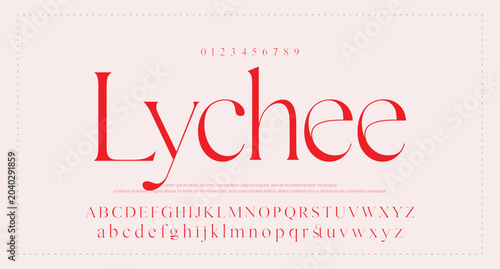 lassic serif font alphabet letters fancy gentle typographic design. Elegant anthique typography. Retro slick serif letter set for wedding card, restaurant menu, headline, lettering. Vector typeset