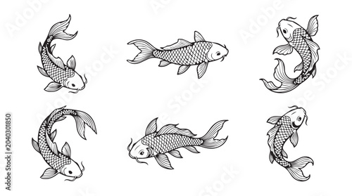 Decorative koi carp fish hand drawn illustration set with illustration japanese tradition swimming isolated collection monochrome engraving wildlife ornamental decorative movement graceful