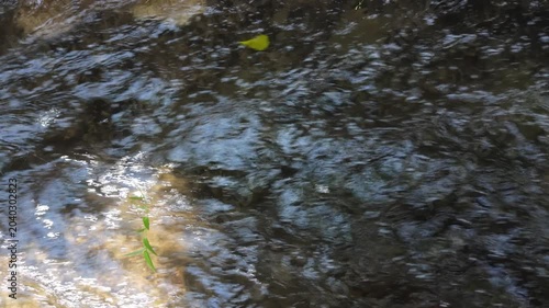 A tranquil stream with sparkling water reflecting sunlight and gentle ripples flowing over stones
