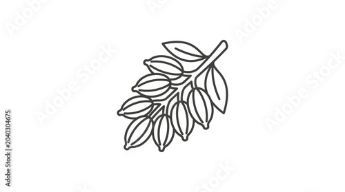Foto Minimalist line art illustration of cardamom spice pods on branch