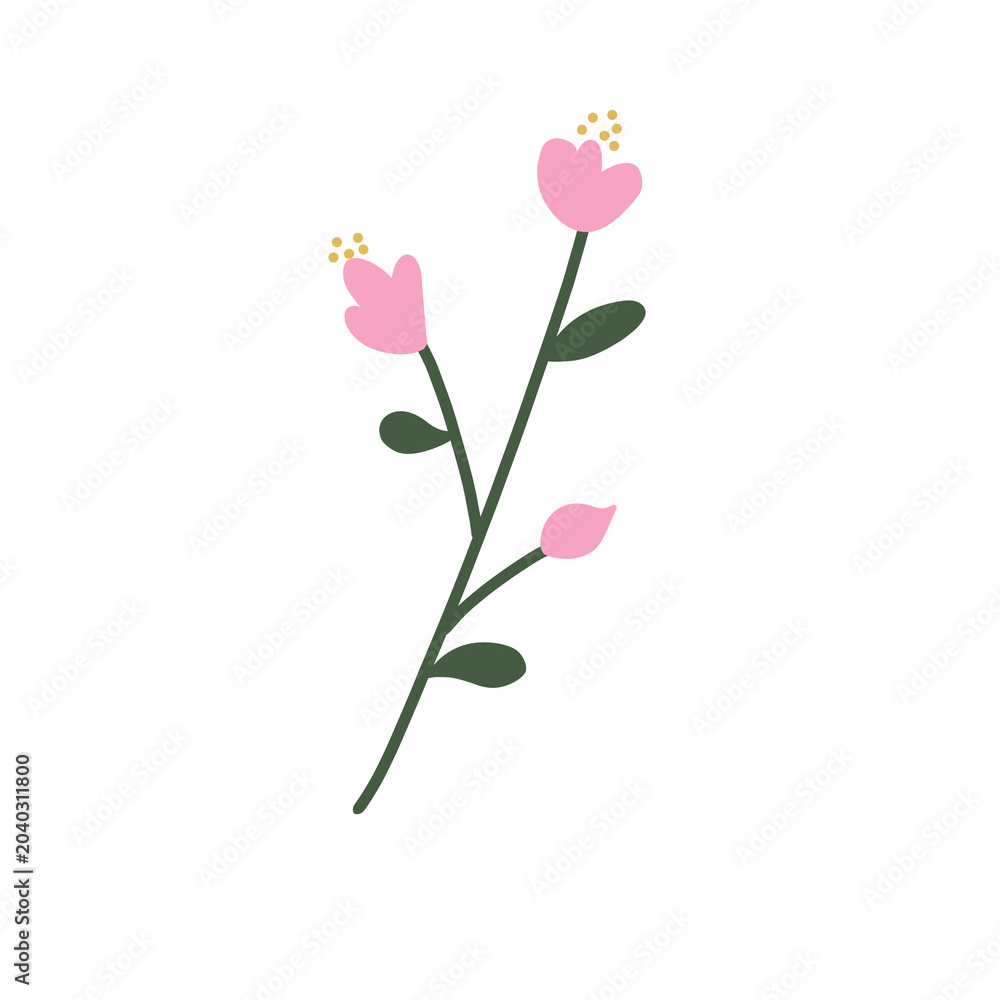 Obraz premium pink rose flower
