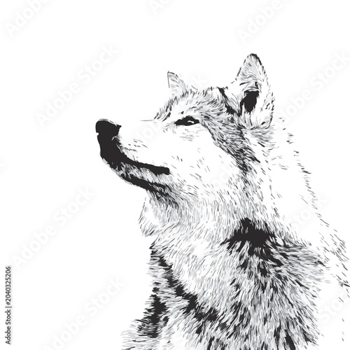 wolf head logo,