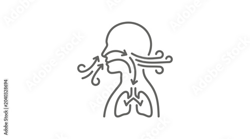 Fényképezés Human profile showing air flow through lungs and nose.