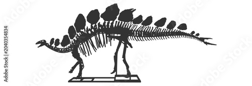 Photos Stegosaurus dinosaur skeleton silhouette side view showing bony plates and spiked tail