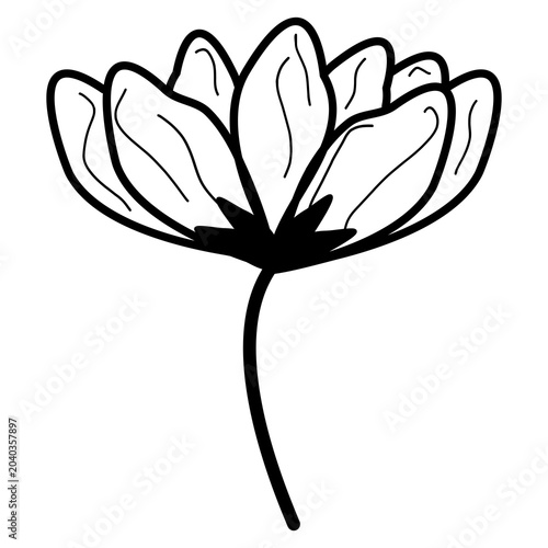 vector illustration of a flower