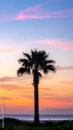 Serene tropical sunset with a lone palm tree