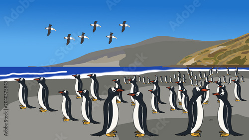 Bild auf Leinwand Gentoo penguin: Chorus of Saunders Island