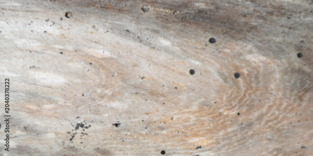 Fototapeta premium background with wood texture, modern, visual, effect and grunge concept