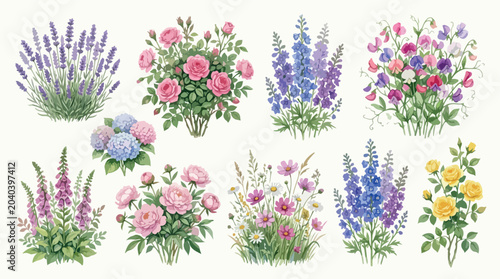 Vintage botanical garden flower collection, watercolor floral vector set with roses and lavender, elegant blooming wildflower illustrations for wedding stationery isolated PNG with Transparent