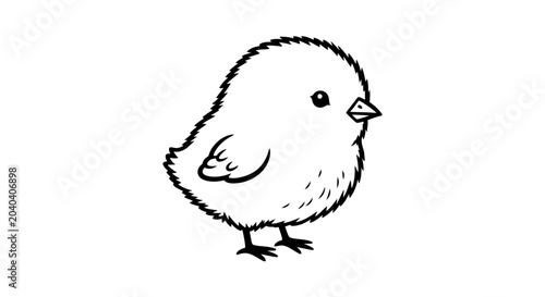 Foto Cute little bird standing alone.