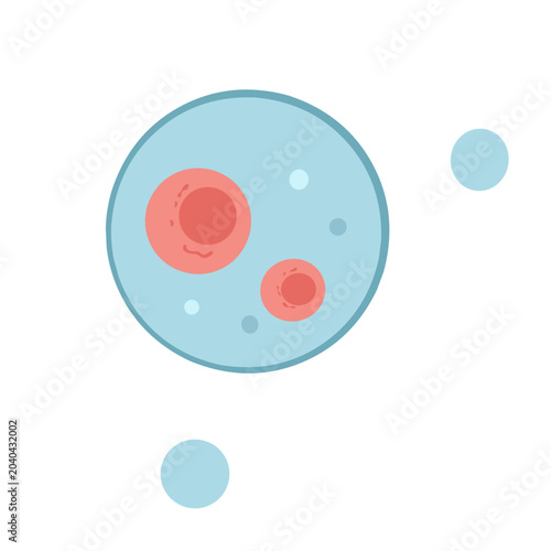 Photos Human fertilization process vector illustration with ovum egg cell and sperm