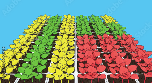 Rows of colorful plants growing in a field, graphic illustration style