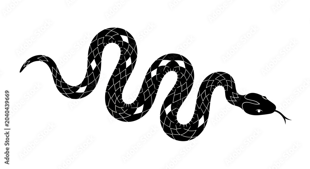 Fototapeta premium Black snake silhouette coiled and slithering across a white background in stark contrast.