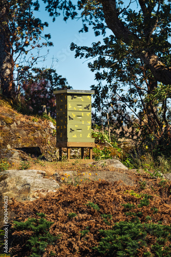 Eco-Friendly Beekeeping Operation