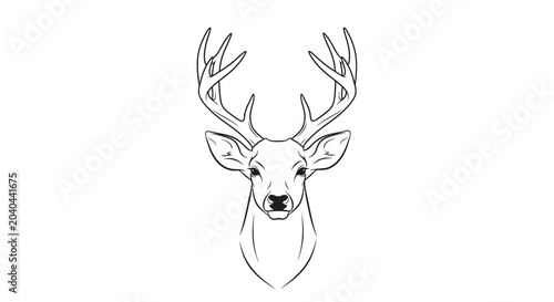 Quadro em tela Detailed illustration of a deer head.