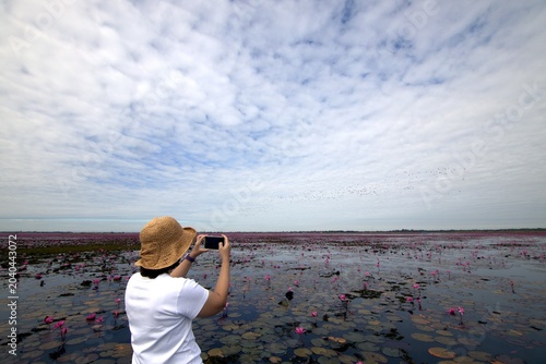 Traveler photographing blooming lotus wetland under dramatic cloudy sky