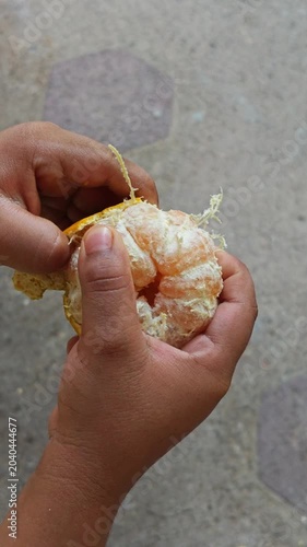 Kids Hands Peeling Fresh Skin Off an Organic Sweet Mandarin Citrus