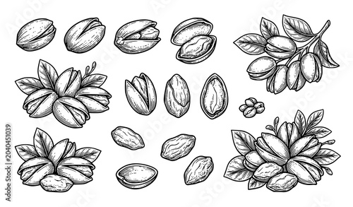 Black and White Pistachio Nuts Hand Drawn Vector Sketch Illustration Pack