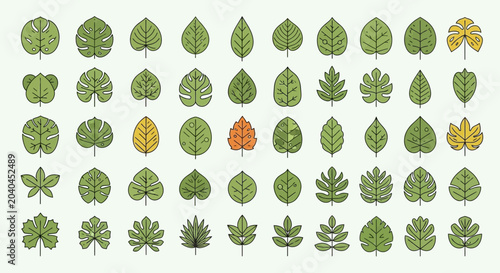Schilderij op canvas Collection of various green leaf types.