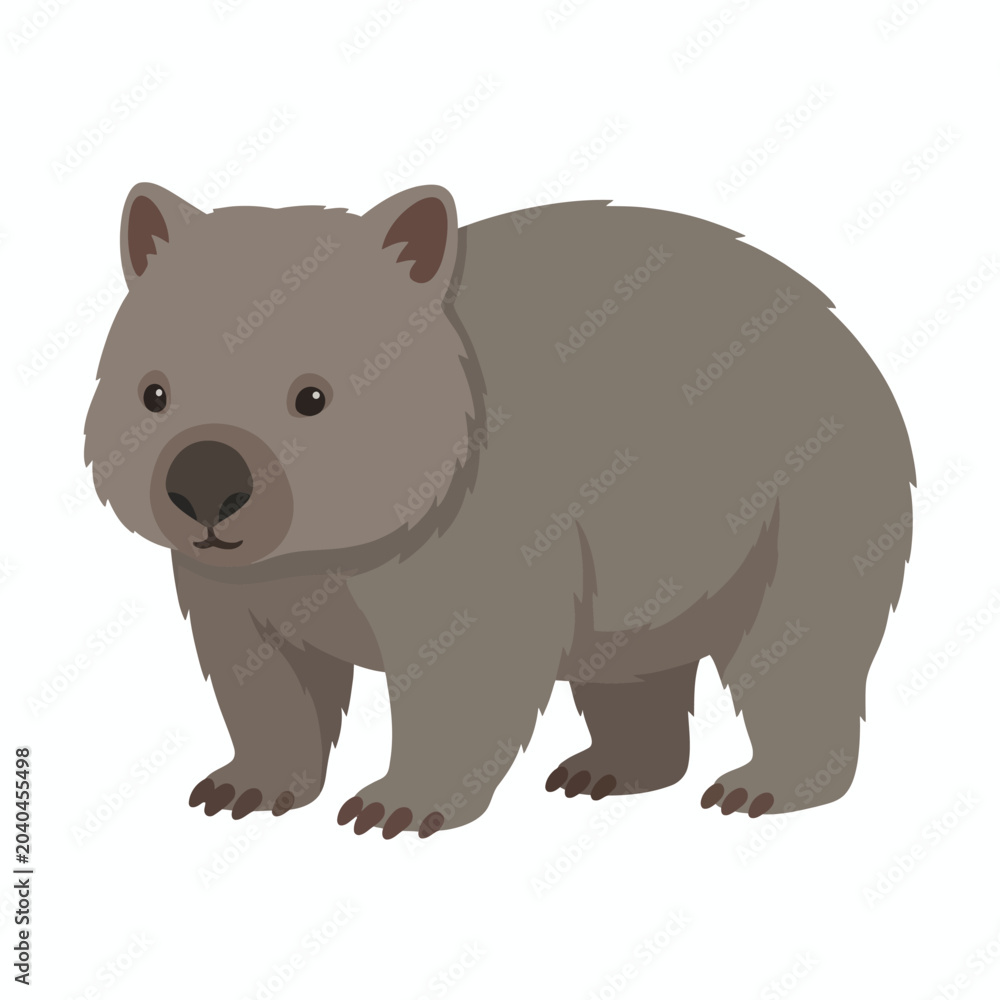 Fototapeta premium Wombat Wildlife Mammal Animal Illustration