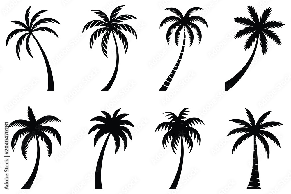 Fototapeta premium Collection Of Palm Tree Silhouettes In Black And White Tropical Scene Silhouette