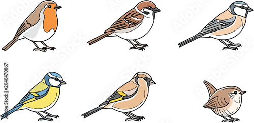 Tableau sur toile Six small birds in various colors and patterns, standing on white background, sp