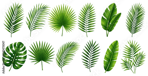 Foto Collection of isolated tropical green leaves on transparent background minimalis