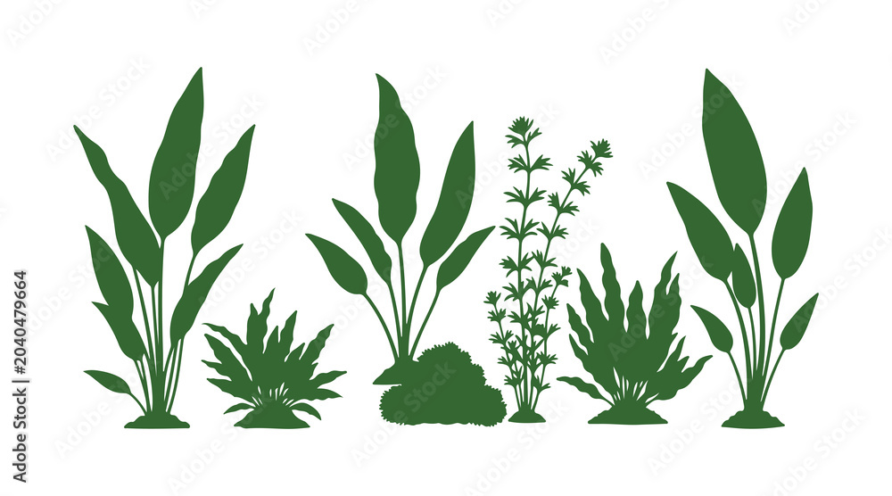 Fototapeta premium Colorful aquarium plant bundle with adorable vector artwork.