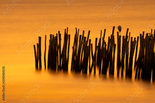 sunrise over the lake