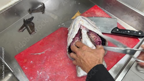 Chef cleaning and gutting a fresh fish with scissors