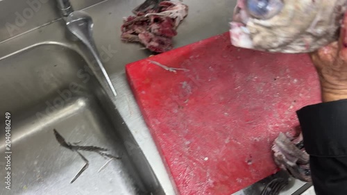Chef gutting and cleaning a fresh stargazer fish in a kitchen sink