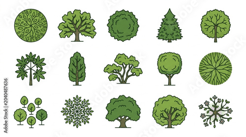 Illustrated Collection of Various Tree Types and Canopies