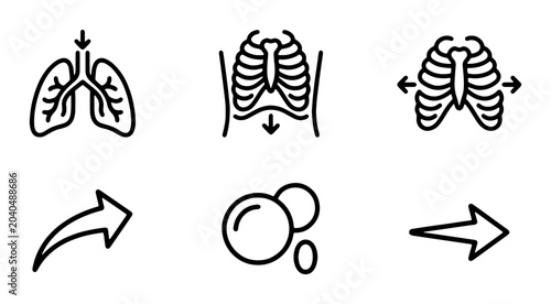 Quadro su tela Human Lungs Respiration Icons, Medical Anatomy Vector Set, Breathing Process Sym
