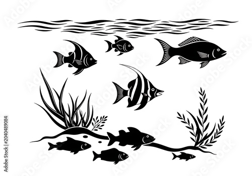 Fish Swimming Underwater with Seaweed