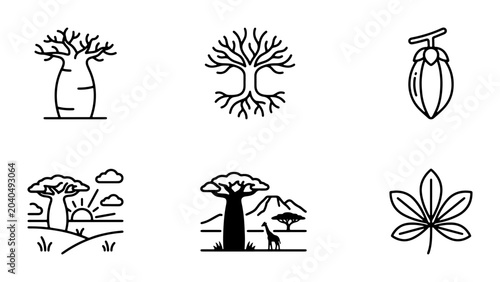 Fotografie African Baobab Tree Icons, Nature Landscape Graphics, Botanical Leaf Vector Set