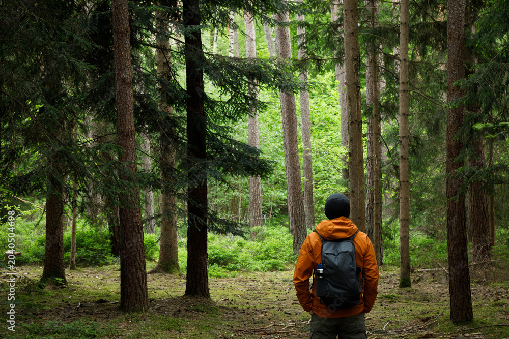 Obraz premium Man hiking in the Forest. Travel, tourism, adventure and healthy active lifestyle in nature