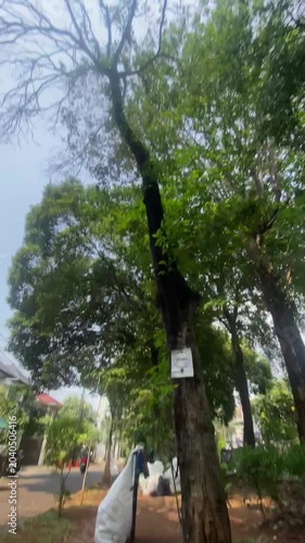 man in the park