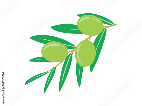 Bild auf Leinwand Olive Branch Green Leaves Illustration