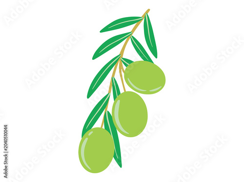 Tableau sur toile Olive Branch Green Leaves Illustration