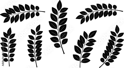 Photos Pinnate Leaf Branch Silhouette Vector Icon Set Featuring Rowan, Acacia, and Fern