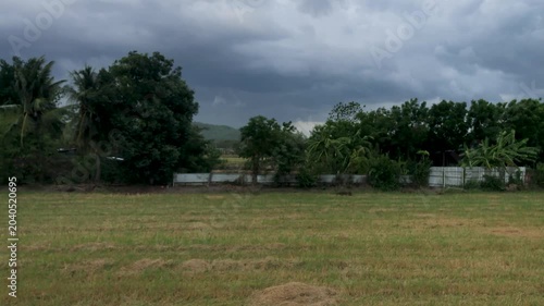 Wild winds and dark skies over a rice field in rural Thailand as monsoon rains come in from the North. 
