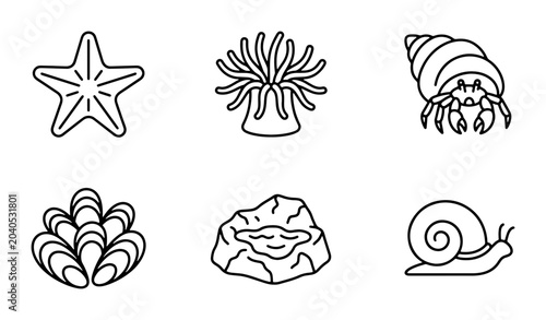Obraz na płótnie Ocean Life Icons: Starfish, Anemone, Hermit Crab, Shellfish, Rock, Snail Vector