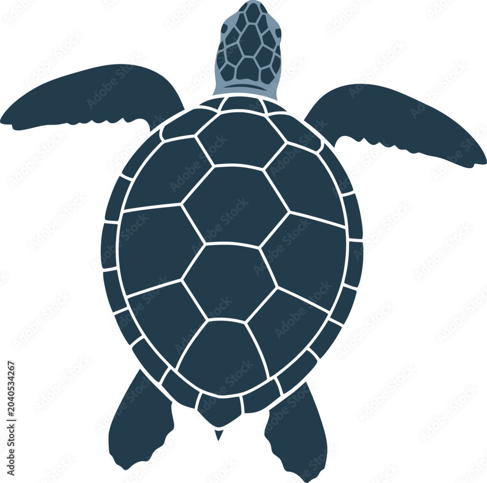 Obraz premium Turtle Shell Silhouette Graphic Illustration.