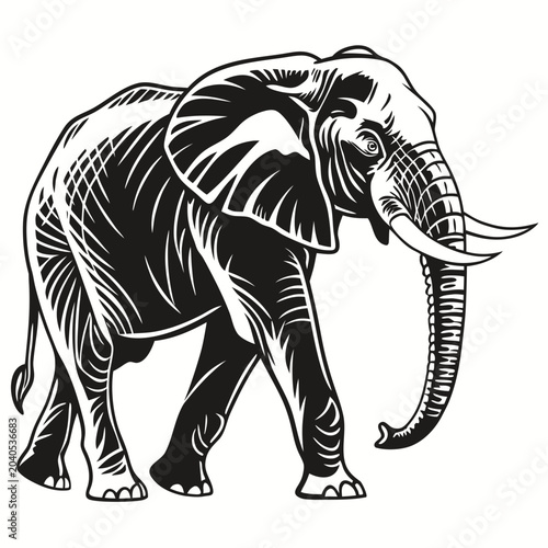 Photography vector illustration of an elephant