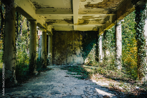 Schilderij op canvas Overgrown corridor of abandoned Soviet Bathhouse #5 in Tskaltubo, Georgia, where nature slowly reclaims the once-grand spa