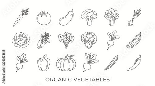 Organic vegetables thin line icon set vector illustration. Minimalist linear outline text collection of fresh farm produce healthy food and garden ingredients.