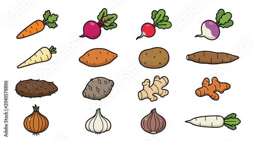 Root vegetables cartoon vector icon collection. Cute illustrations of fresh organic veggies including carrot potato onion ginger beetroot and garlic isolated on white.